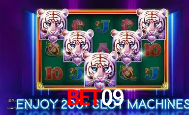 Experiência VIP bet09